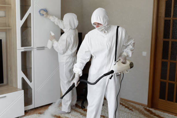 Best Mold Removal Process  in Laguna Hills, CA