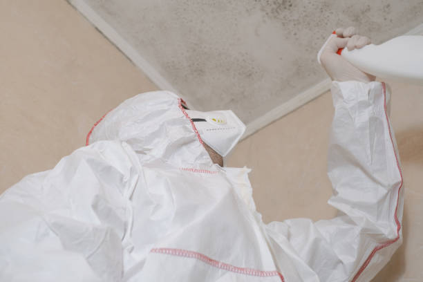 Professional Mold Removal in Laguna Hills, CA