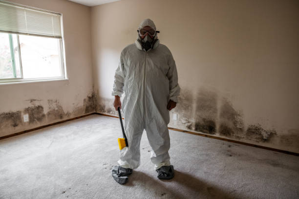 Best Toxic Mold Removal  in Laguna Hills, CA