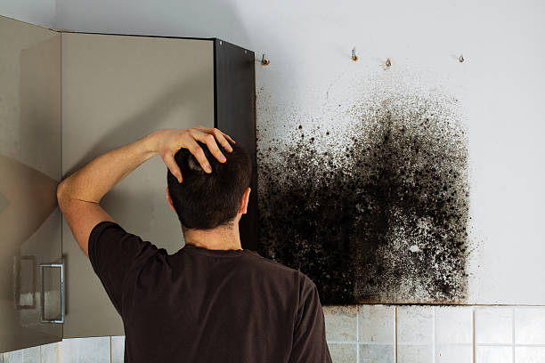 Best Residential Mold Removal  in Laguna Hills, CA